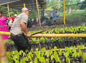 Parte del debate de la actividad se centró en las opciones para financiar una economía forestal viable en Panamá. (MiAmbiente)