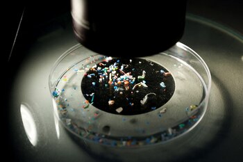 Los contaminantes pueden ingresar al