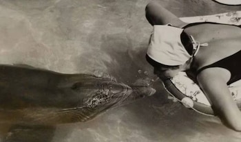 Las revelaciones sobre el vínculo