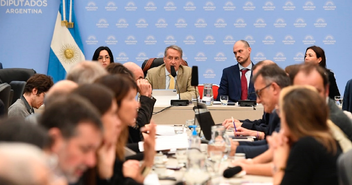 Asociaciones civiles denunciaron que la nueva ley de Lobby restringirá la participación ciudadana