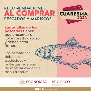 Profeco emitió recomendaciones para comprar