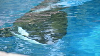 Soledad y ansiedad, así fue