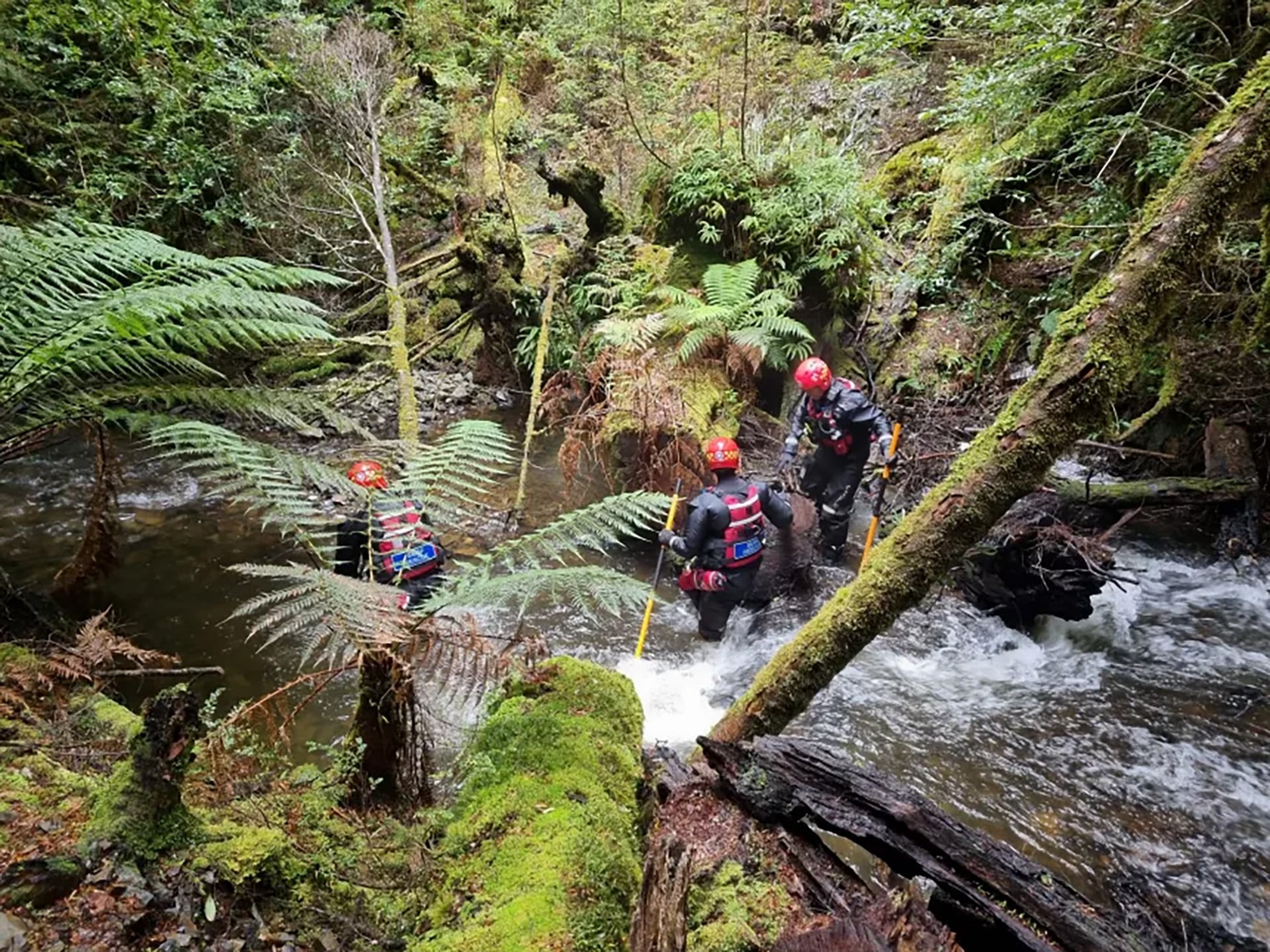 El teléfono fue encontrado durante una búsqueda privada (Policía de Tasmania)