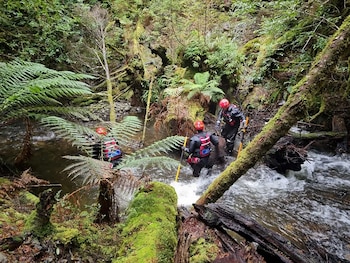El teléfono fue encontrado durante