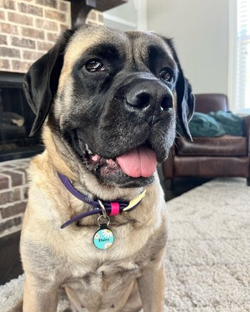 Pancake, como también fue nombrada