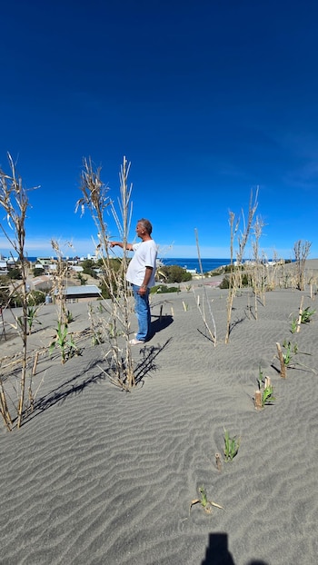 Raúl Torno muestra parte de