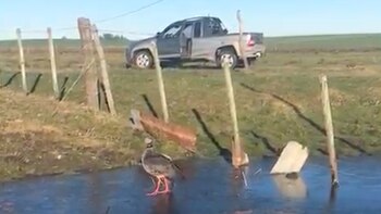 Día más frío del año