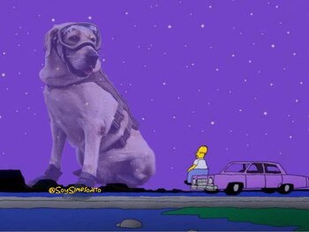 Frida la perrita rescatista.
(captura de