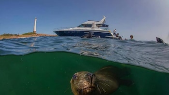 La Isla de Lobos está
