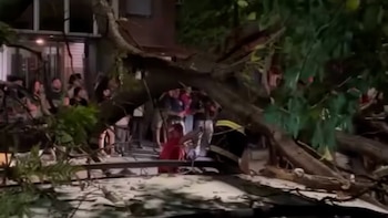 Imágenes sensibles: un repartidor quedó