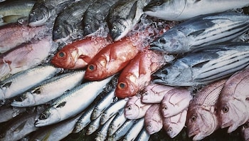 pesca
