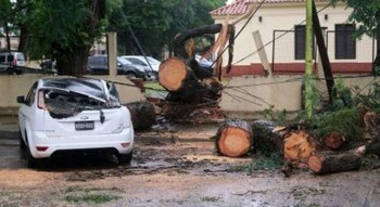 La intendente aseguró que los