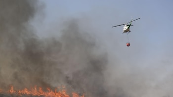 España agradece las muestras de solidaridad internacionales ante el incendio de Los Gallardos