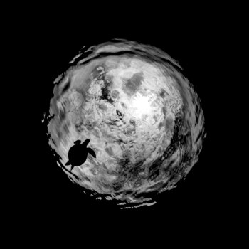 Imagen tomada por la apneísta