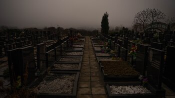 ¿Un reality que prepare a