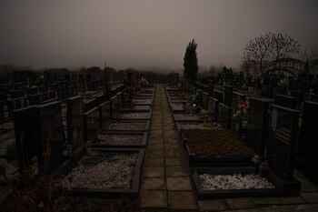 Imagen de referencia. La producción