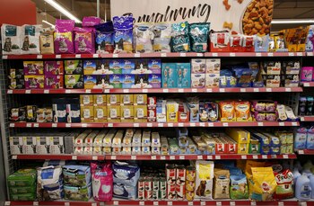 El momento de transición del