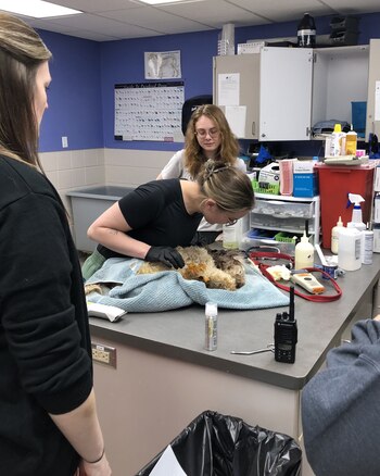 Especialistas médicos unieron esfuerzos para