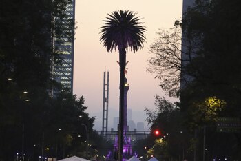 CIUDAD DE MÉXICO, 20FEBRERO2016.- Atardecer