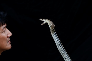 Las funciones biológicas dependen directamente