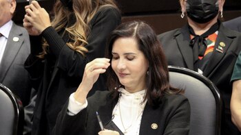 Diputada del PRD describió un