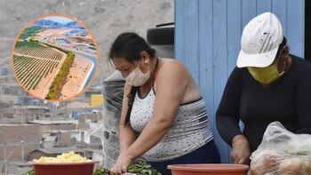 Para cumplir con tal misión,