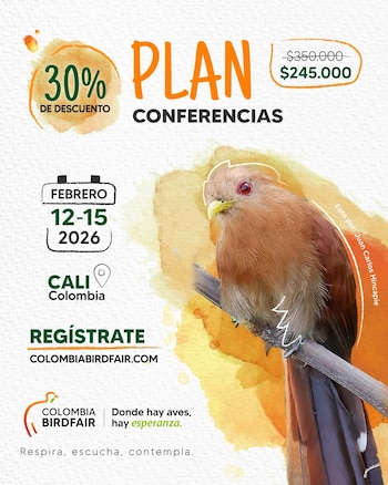 Actualmente los planes están con