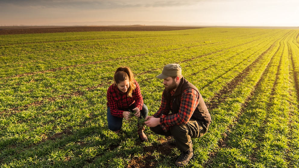 Nueva herramienta de Atanor optimiza la compatibilidad en mezclas de herbicidas