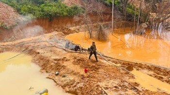 Qué tiene que ver Hong