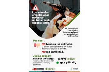 Derrame de petróleo: ¿Qué hacer