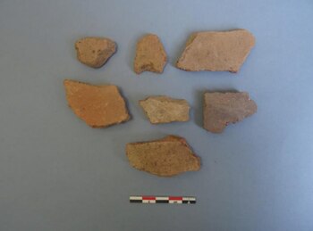 Trozos de cerámica encontrados por