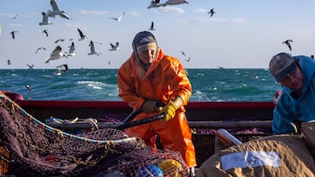 Llega Captura Salvaje, el documental