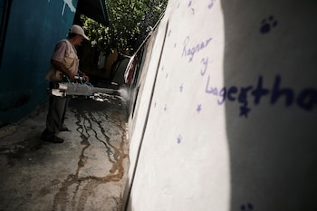 La Secretaria de Salud confirmó que ya se trabaja en los operativos de limpieza y eliminación del zancudo transmisor