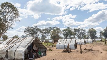 UNICEF alerta del "ritmo vertiginoso"