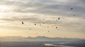 Cielo con nubes, aves volando en silueta, capas de montañas en el horizonte, valle con vegetación y un río sinuoso.