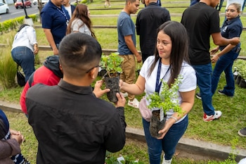 La Municipalidad activó la campaña de reforestación para que en la época de lluvia se facilite el crecimiento de las plantas por la humedad natural del suelo.
