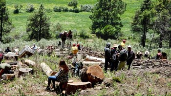 Entró en vigor reforma al