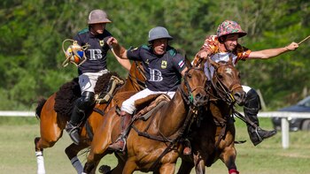 San Patricio BARDON es