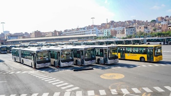 Flota de autobuses blancos articulados y un autobús amarillo estacionados en un patio. Al fondo se observan edificaciones sobre un cerro bajo cielo despejado