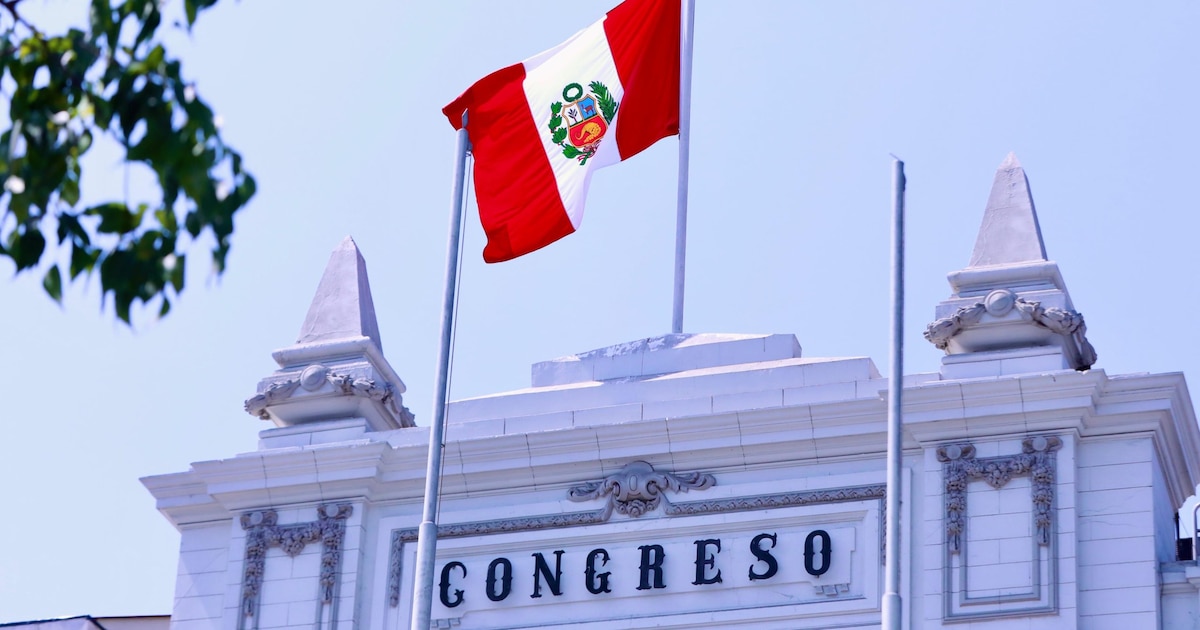 ONPE ends counting votes to Congress: He knows the list of senators and how many votes they received