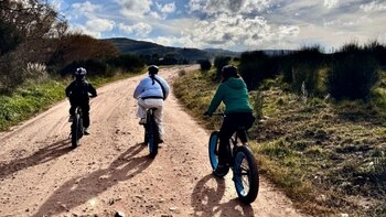 Muchos turistas deciden visitar este