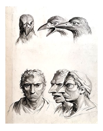 Ilustraciones sobre frenología de Charles