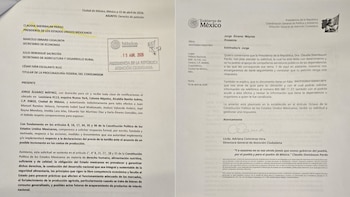 Máynez sobre el precio de la tortilla.