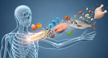 Especialistas en nutrición coinciden en