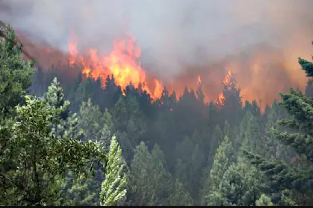 La medida se adoptó en forma preventiva y destina recursos
