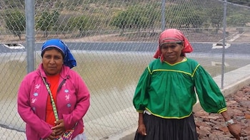Artículo por artículo: pueblos indígenas y afromexicanos revisan ley que definirá sus derechos
