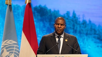 El presidente de RCA acude