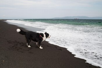 Esta playa japonesa combina historia,