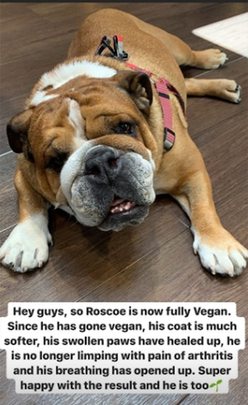 El anuncio de Lewis Hamilton