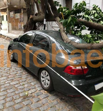 Un coche sedán oscuro estacionado en una calle adoquinada con un gran tronco de árbol y ramas verdes caídos sobre su techo y parte trasera